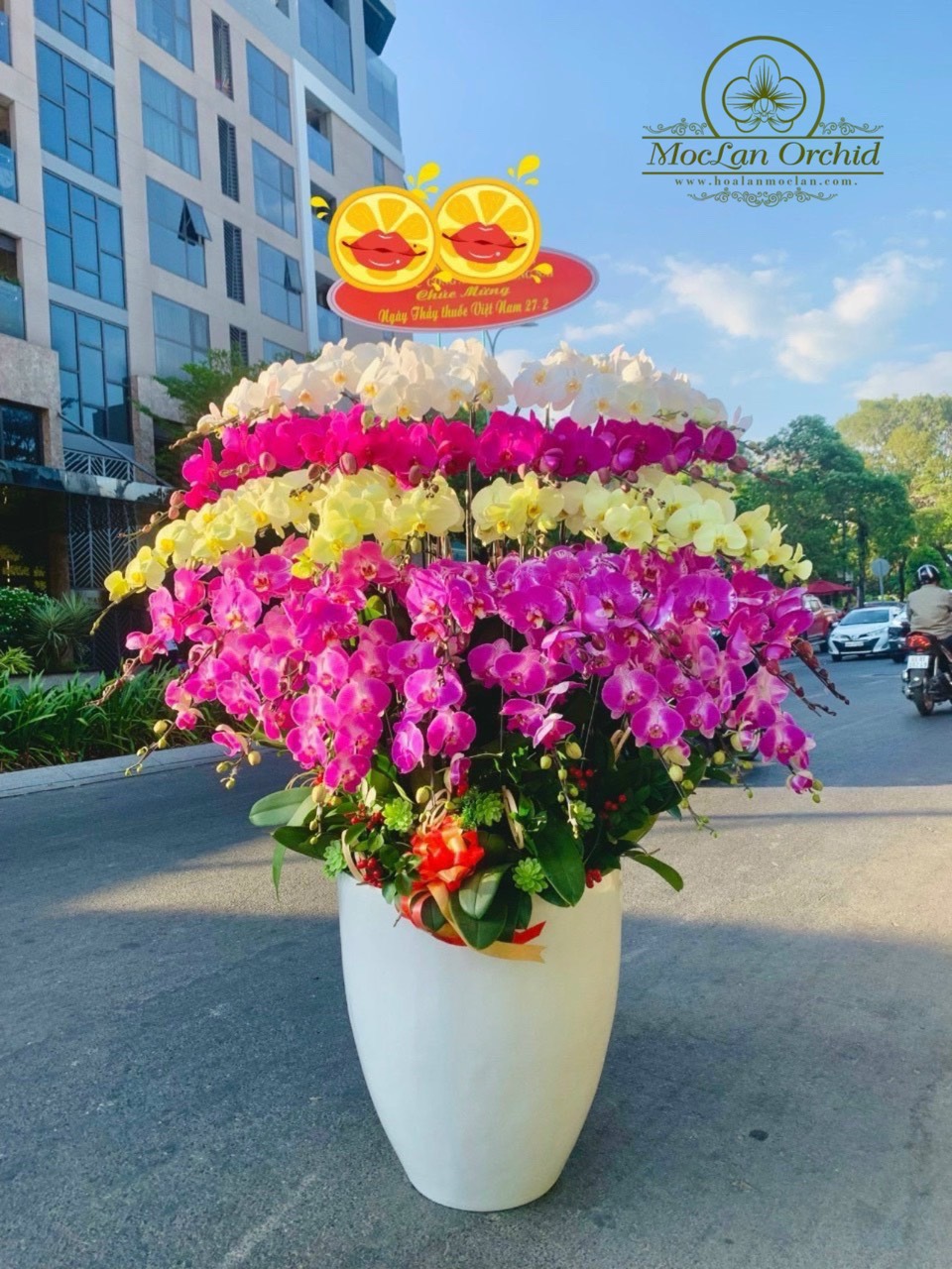 Lan Hồ Điệp Đại Sảnh